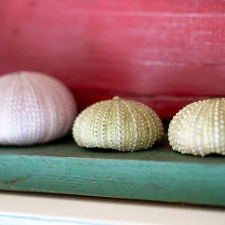 I Lecci 3 - Klodge Appartement *