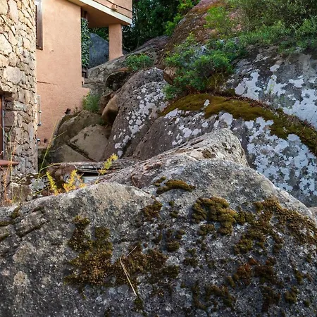 Appartement I Lecci 3 - Klodge *