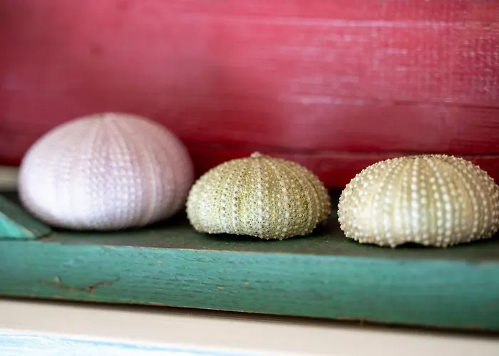 I Lecci 3 - Klodge 公寓 *